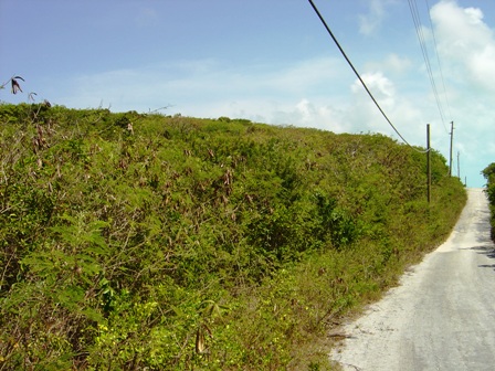 Land for Sale in Long Island — 30,000.00       SF — BSD $77,000.00