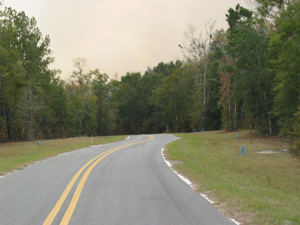 Land for Sale in Hosford, Florida — 21,500.00       SF — $25,900.00