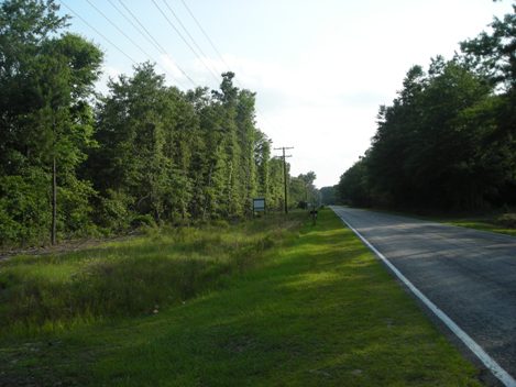 Land in Ridgeville