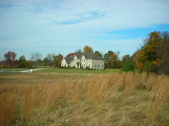 Land in Mullica Hill