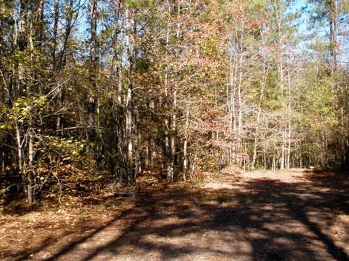Land in Woodruff