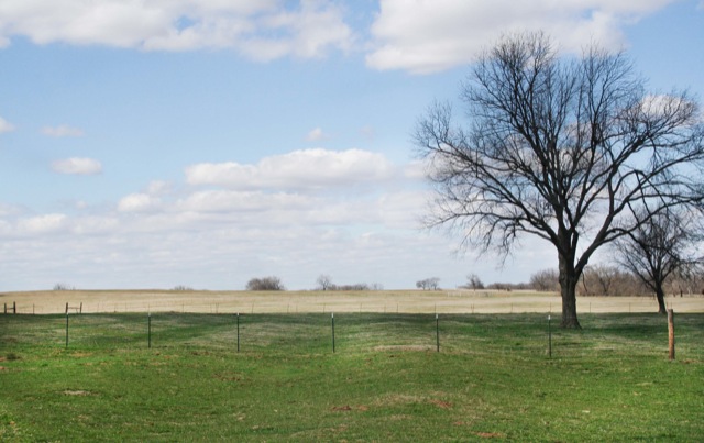 Land in Pauls Valley