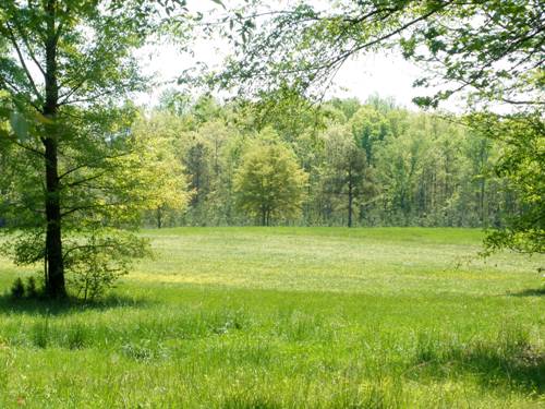 Land in Chappells