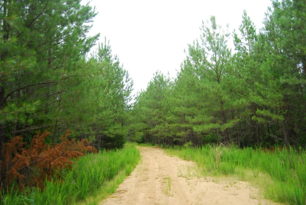 Land in Laurens