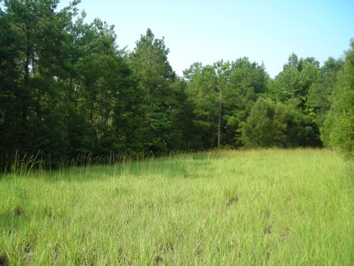 Land in Round O