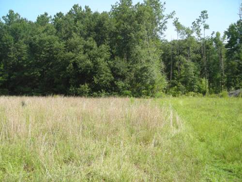 Land in Ridgeville