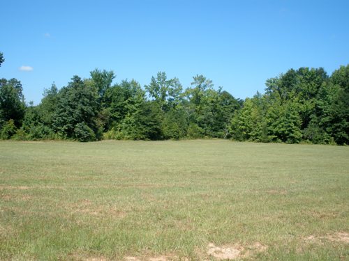 Land in Fountain inn