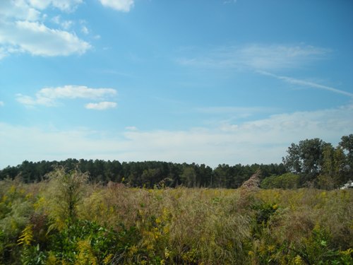 Land in St. George