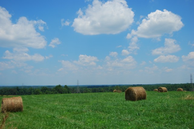 Land in Gaffney