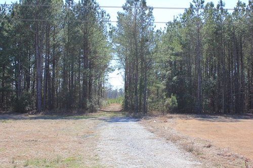 Land in Jamestown