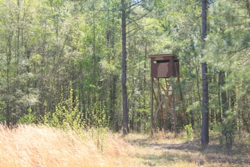 Land in Reevesville