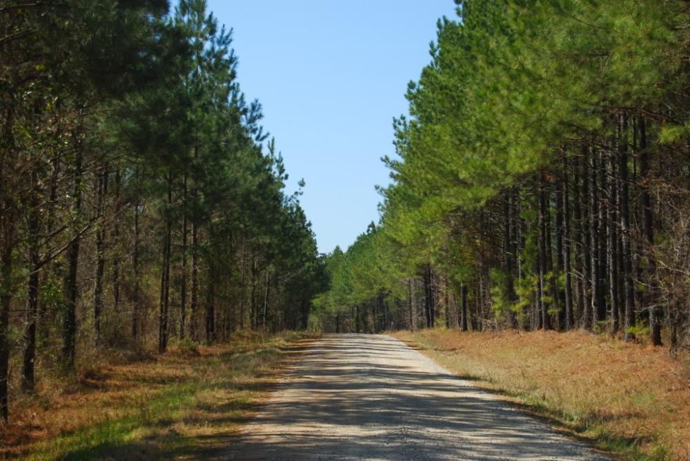 Land in Whitmire