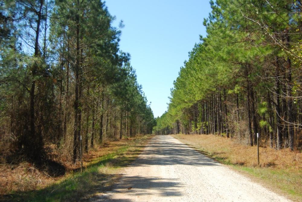Land in Whitmire