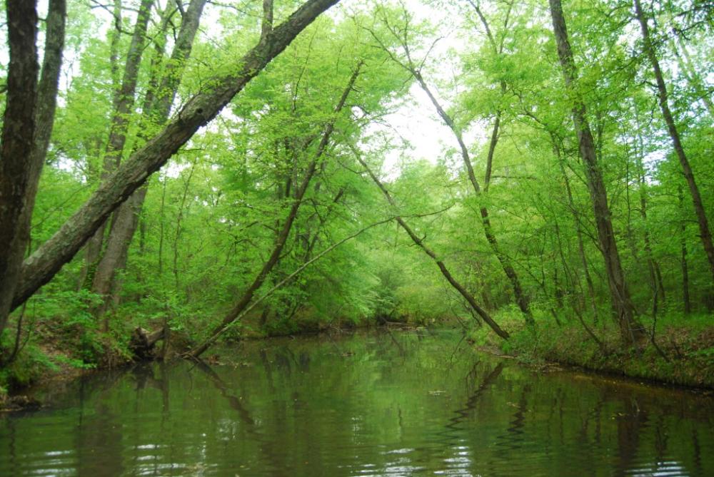 Land in Whitmire