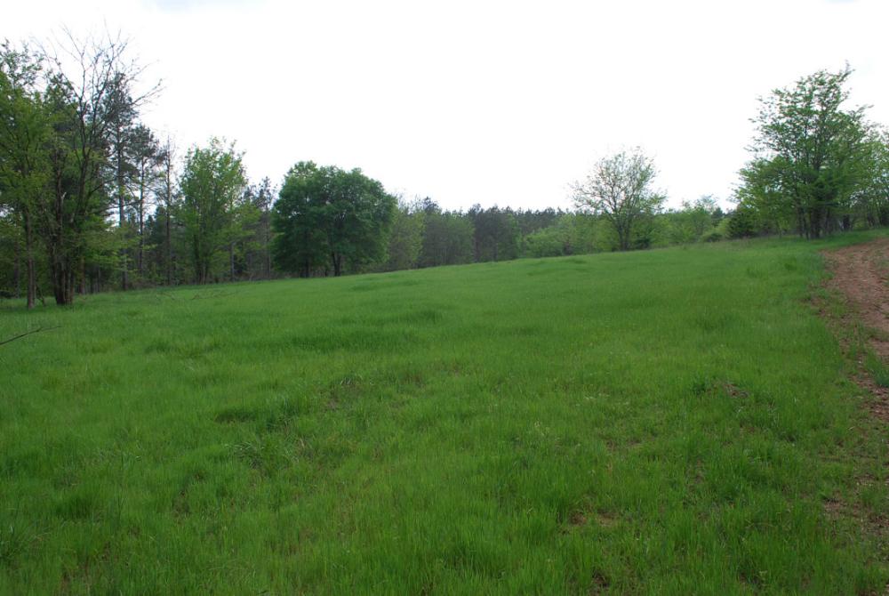 Land in Chester