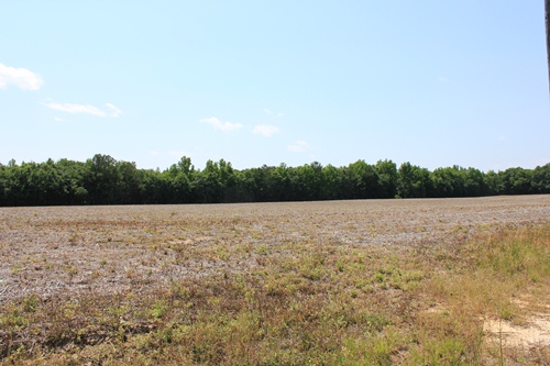 Land in Manning