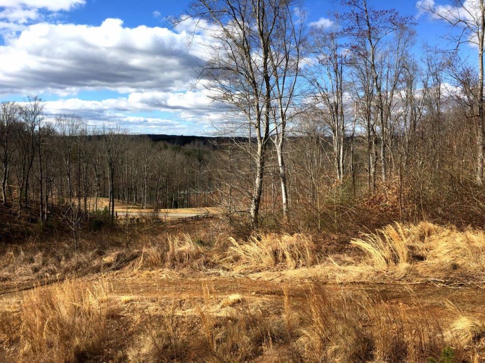 Land in Goodview