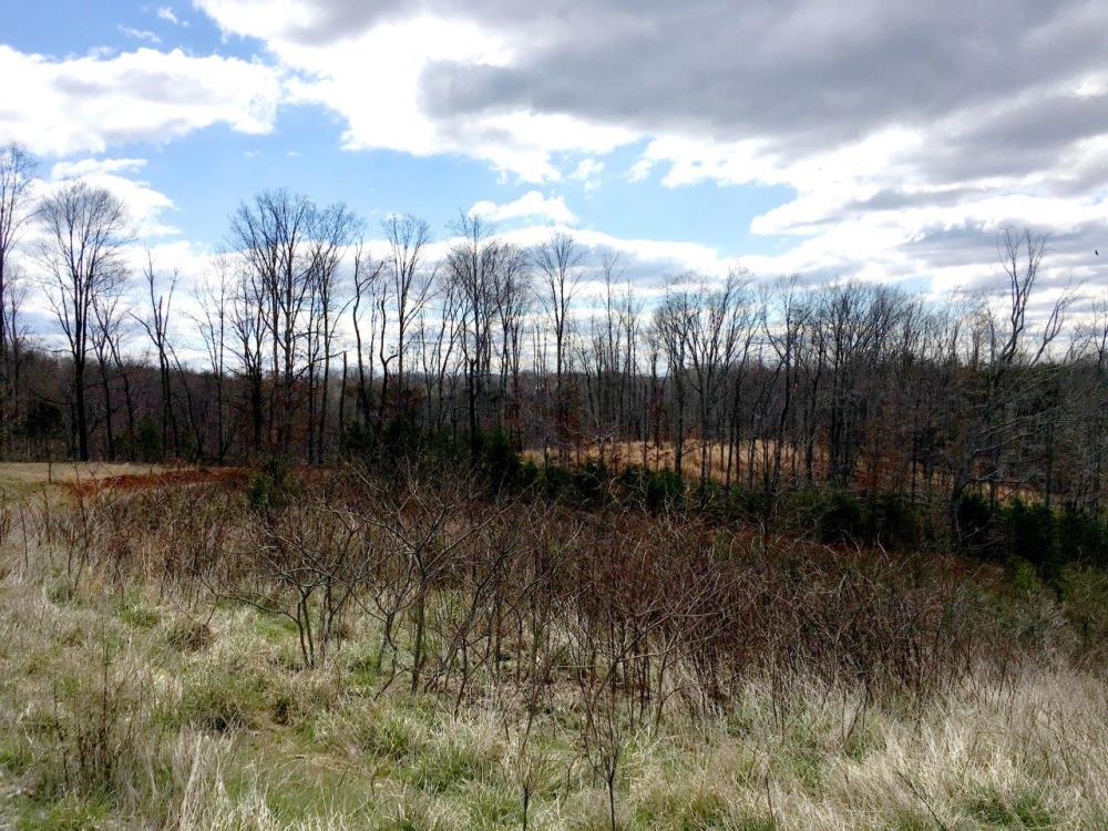 Land in Goodview