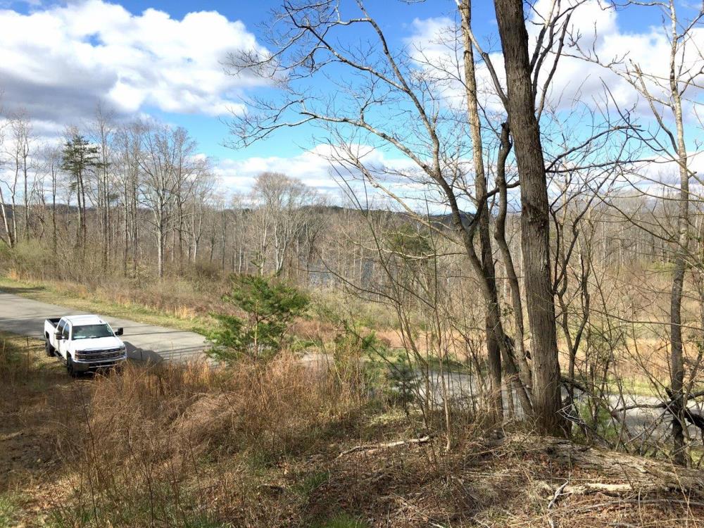 Land in Goodview