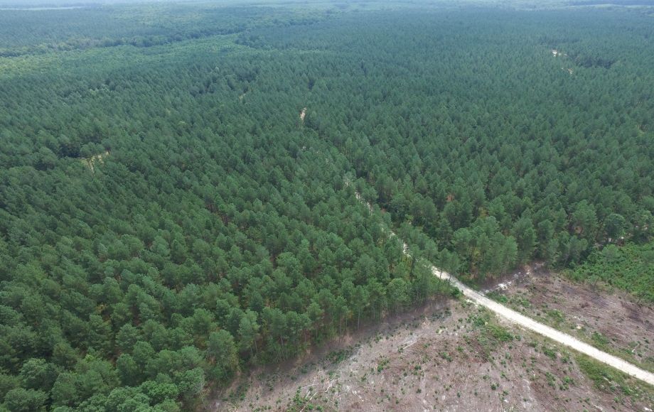 Land in Freeman