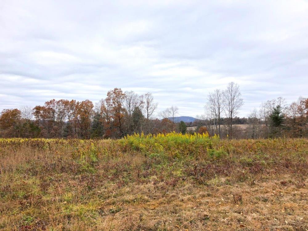 Land in Rocky Mount