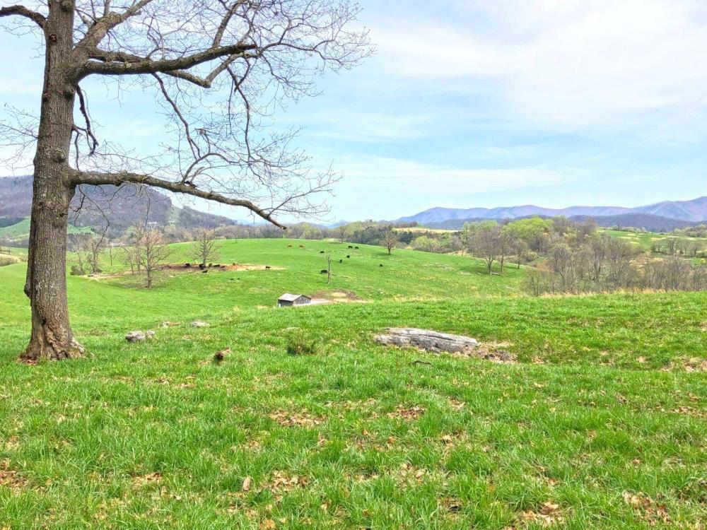 Land in Catawba
