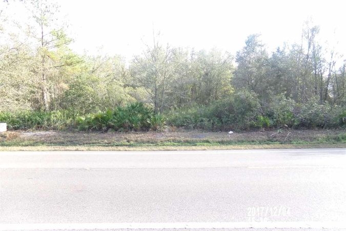 Land in Gainesville