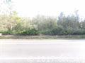 Land in Gainesville