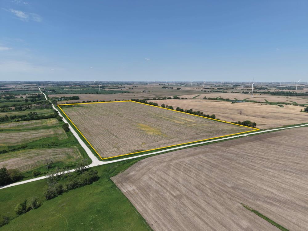 Land in Dexter