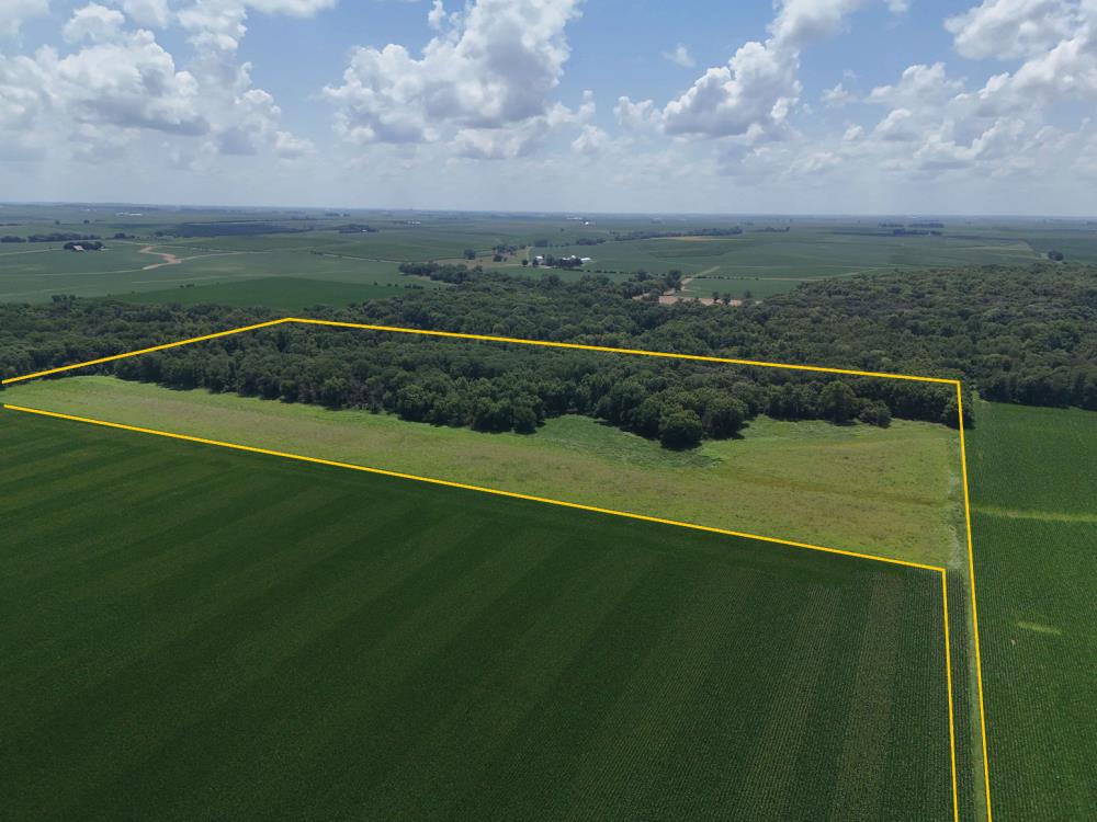 Land in Buckingham