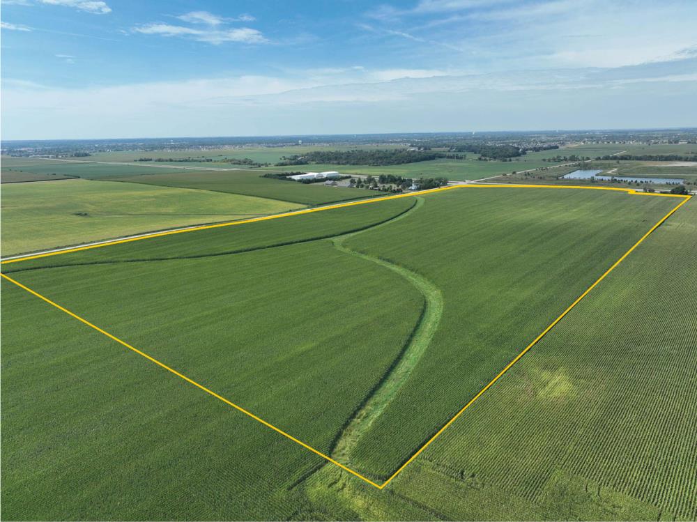 Land in Marion