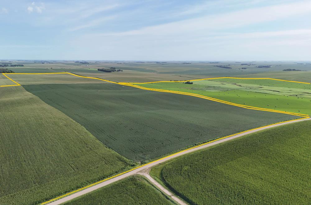 Land in Wisner
